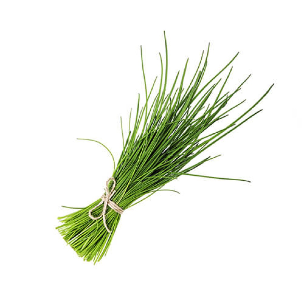 Ciboulette Atado