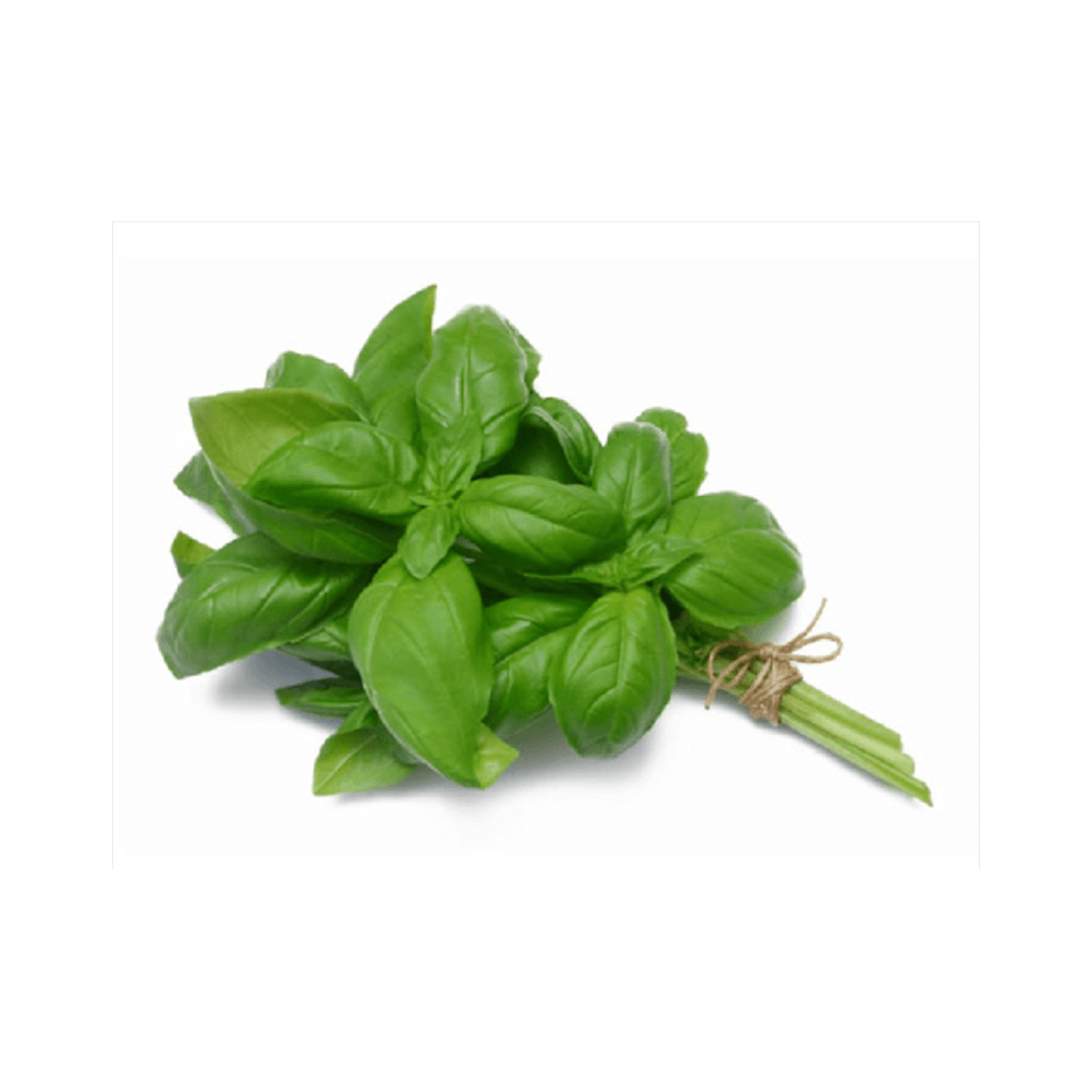 Albahaca Mata
