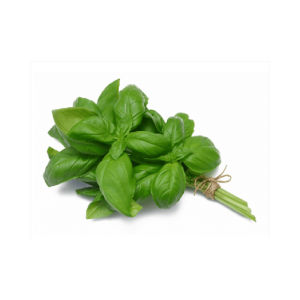 Albahaca Mata