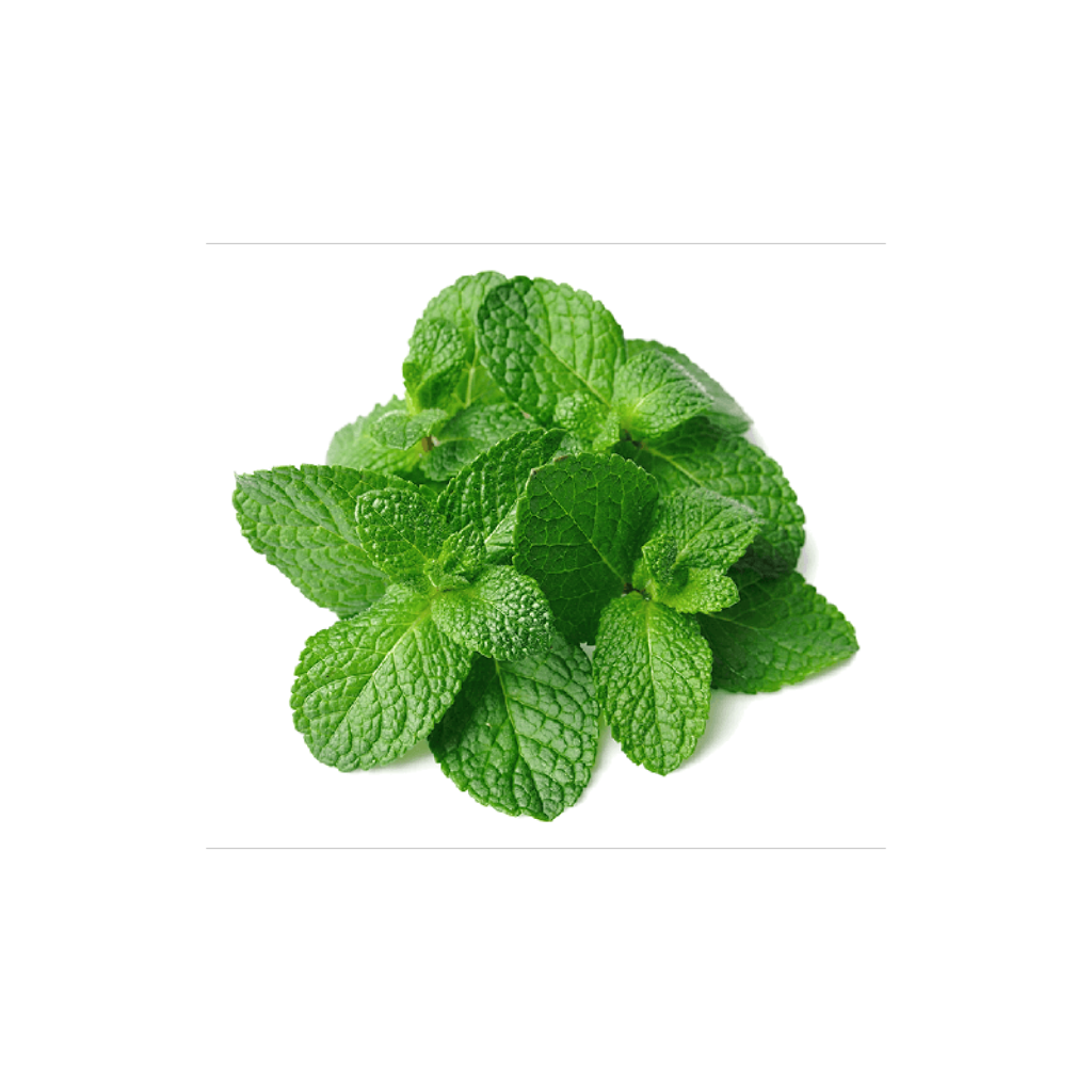 Menta 250 Gr