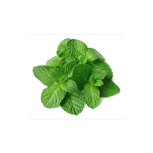 Menta 250 Gr