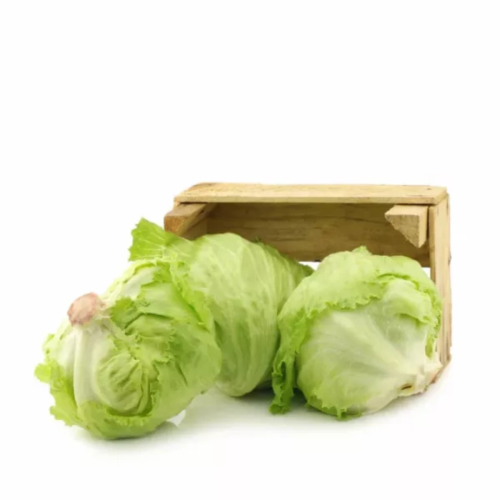 Lechuga Escarola Caja
