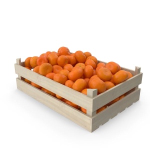 Mandarina 10 Kilos