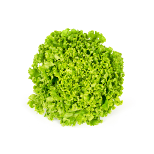 Lechuga Marina Granel